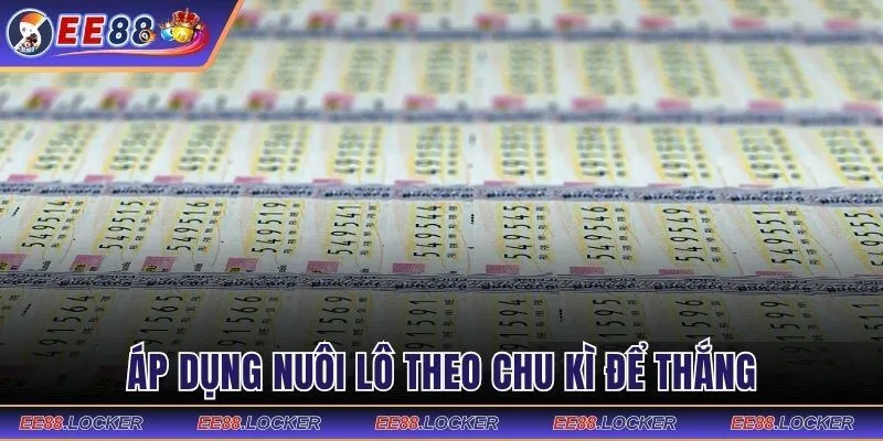 Áp dụng nuôi lô theo chu kì để thắng