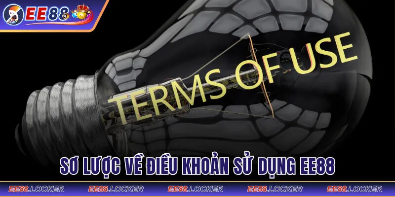 Sơ lược về điều khoản sử dụng